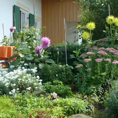 Apartamento Hoernle